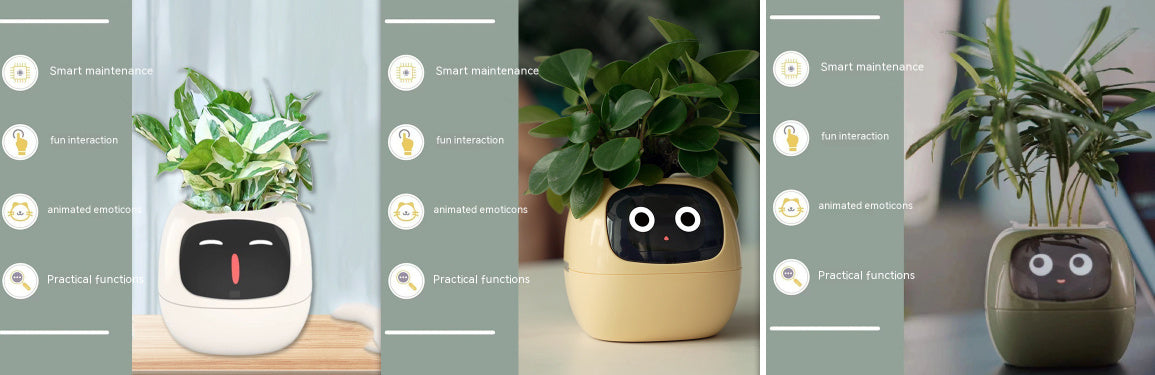 SmartPet Planter