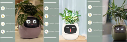 SmartPet Planter