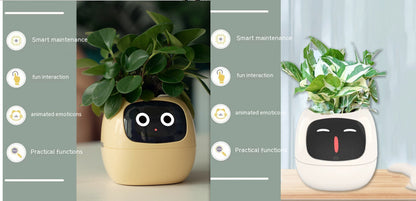 SmartPet Planter