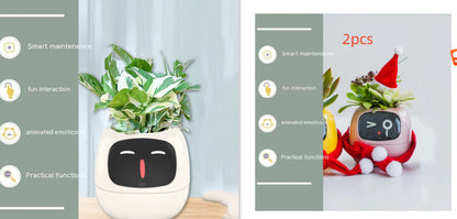 SmartPet Planter