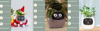 SmartPet Planter