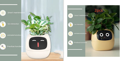 SmartPet Planter