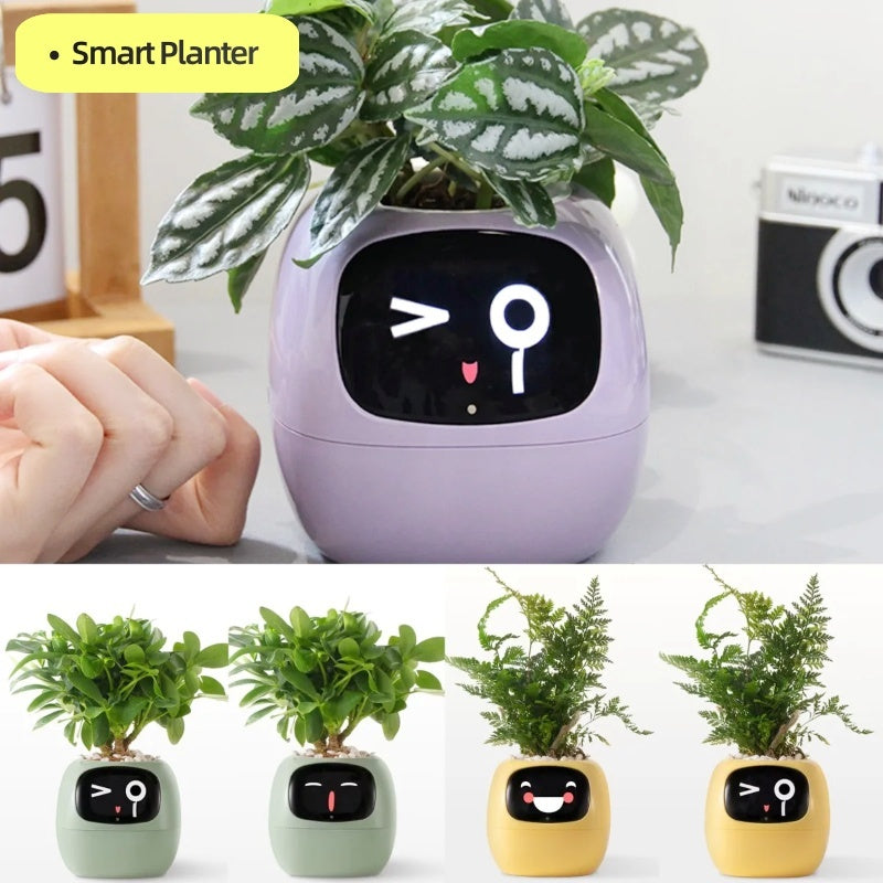 SmartPet Planter