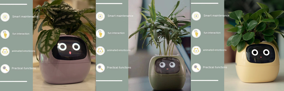 SmartPet Planter