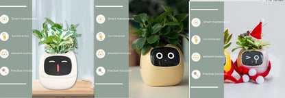 SmartPet Planter