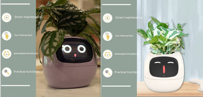 SmartPet Planter